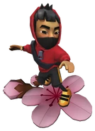 Akira surfing on Sakura