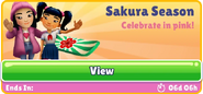 Sakura Season 20/05/2020