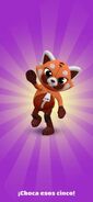 Getting a Top Run with Red Panda