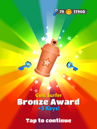 Gold Surfer - Bronze Award