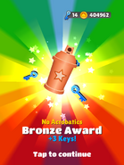 No Acrobatics - Bronze Award