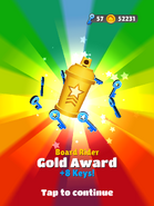 Board Rider - Gold Award