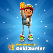 Gold Surfer Award