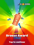 AwardBronze-BoardRider