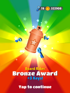 Board Rider - Bronze Award