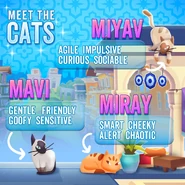 The Cats info