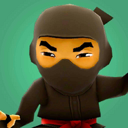 Ninja profile