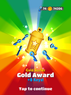 Gold Surfer - Gold Award