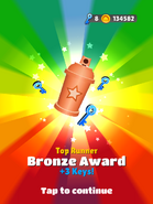 Top Runner - Bronze Award