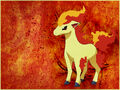 Ponyta by kacza ino.jpg