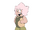 Willow Creek Jasper (Fooop)