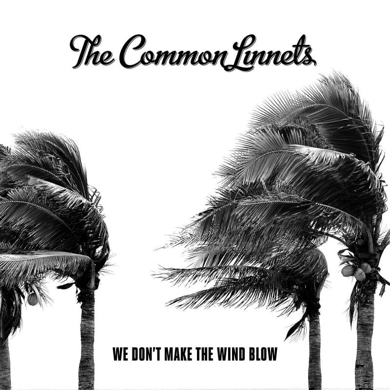 Wind blow песни. The common Linnets album. Blow Wind blow.