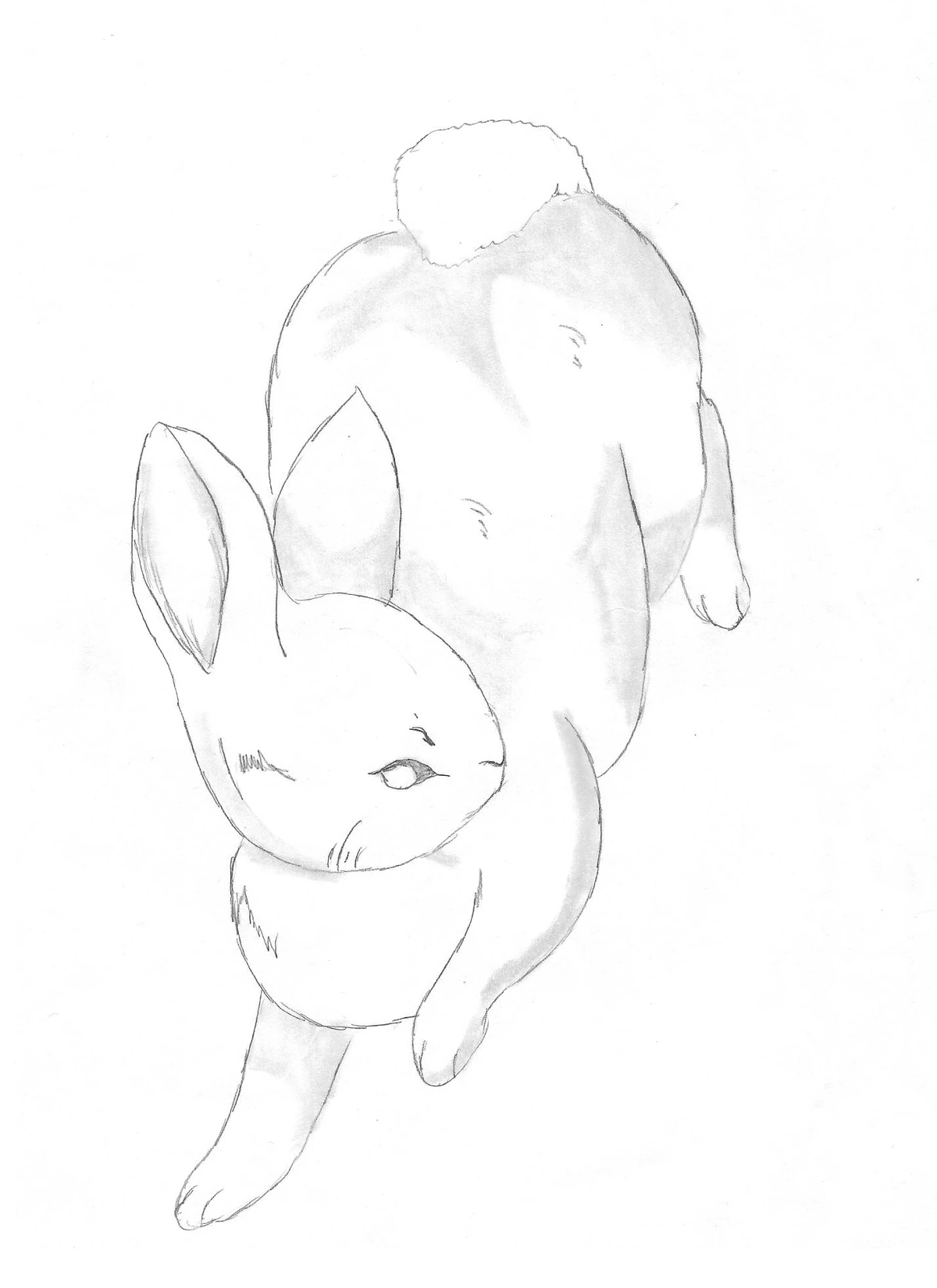 The Black Rabbit Suggsverse Wiki Fandom