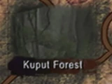 Kuput Forest