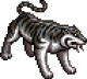 SII BlackTiger