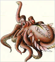 ルロラディア | 幻想水滸伝 Wiki | Fandom