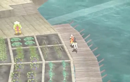 Farm in Suikoden V