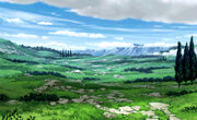 Citro Plain.jpg