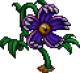 SII EyeFlower