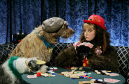 Maddie playing poker as a dog