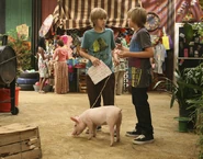 Suite-Life-on-Deck-suite-life-on-deck-2533982-640-500-1-.jpg (184 KB) Zack and Cody on Parrot Island