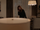 Donna's Apartment 8x13.png