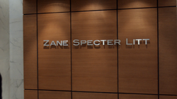 Zane Specter Litt (8x4)