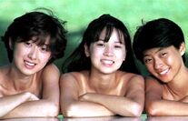 河合その子 スケバン刑事 Wiki Fandom 河合その子 スケバン刑事 Wiki Fandom