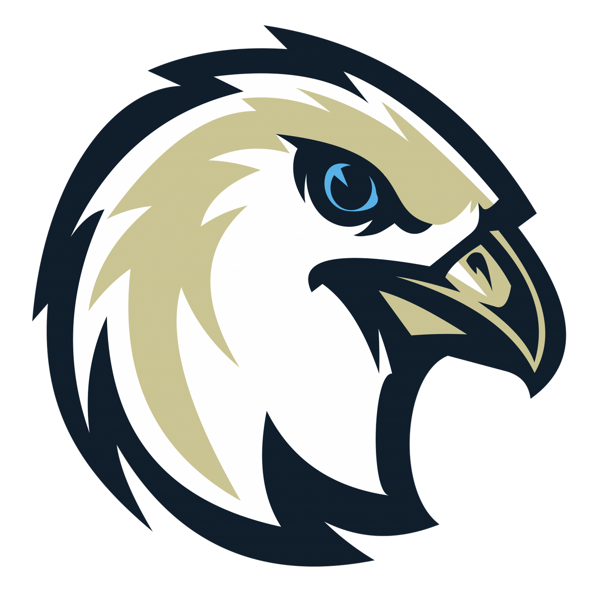 2023 Edmonton Riverhawks Collegiate Summer Baseball Wiki Fandom