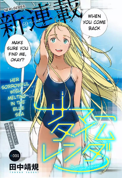 Summer Time Rendering (manga), Summer Time Rendering Wiki