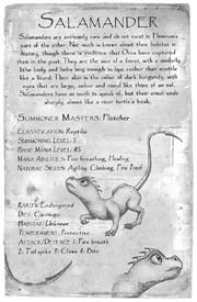 Salamander 01.png