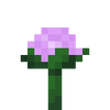 Paeonia.png