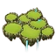 6th expansion