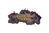 Aiden Forest Map
