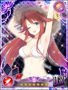 Swimsuit Aty 1 (Legendary Rare), Summon Night Collection