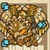 スイートイエローホークd