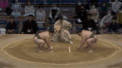 Chiyotora's Fighting Style