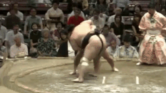 Satoyama's Fighting Style