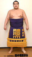 Onokatsu Kazuhiro - 2024 (Retrieved from the JSA)