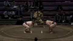 Wakenosato's Fighting Style 2