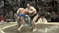 Bushuyama's Fighting Style