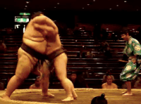 Fudoyama's Fighting Style