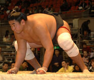 Kaishoryu prepares for his upcoming match (c. 2009)