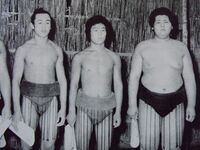 Yoshinohana wins the Jonokuchi Yusho (c. 1959)