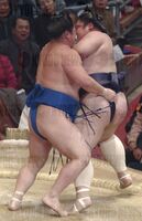 Tamarikido defeats former Ozeki Dejima (c. 2002)