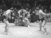 Hagurohana's Fighting Style