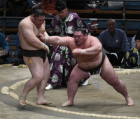Mifuneyama pushes out and defeats Tochihiryu (c. 2019)