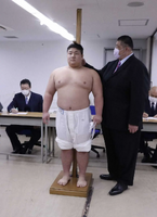 Nagamura gets measured upon joining professional sumo (c. 2022)
