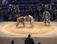 Toshinyama's Fighting Style