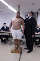 Ochiai gets measured upon joining sumo (c. 2022)